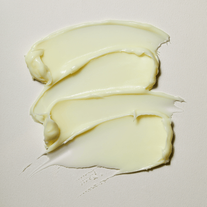 Torriden Solid In Ceramide Cream Korean Skincare in Canada